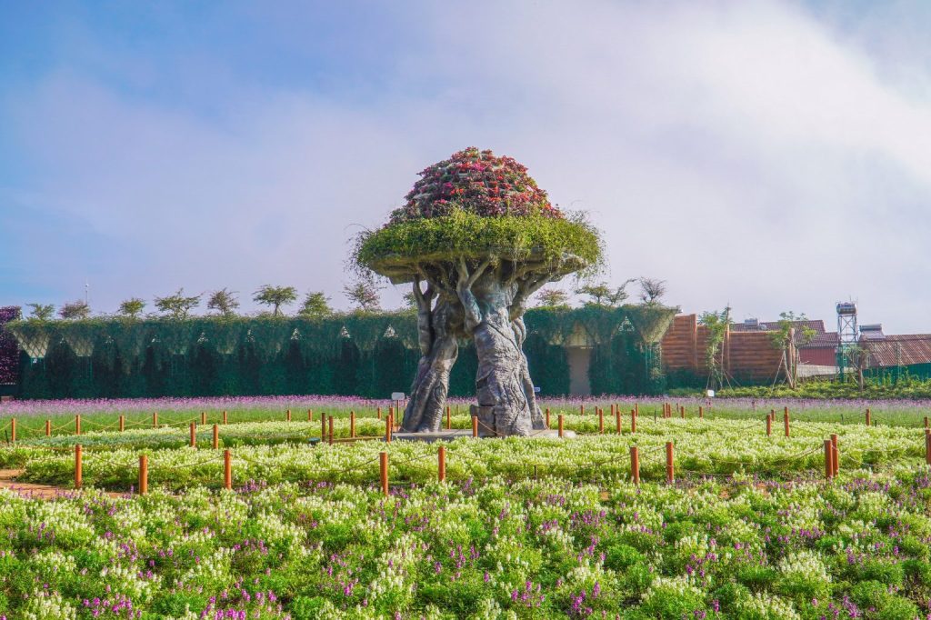 DOHA GARDEN